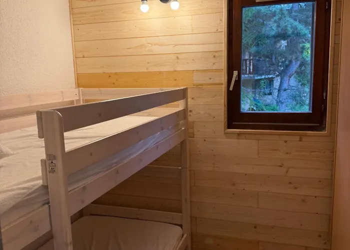 Alpina 1 Les Deux Alpes